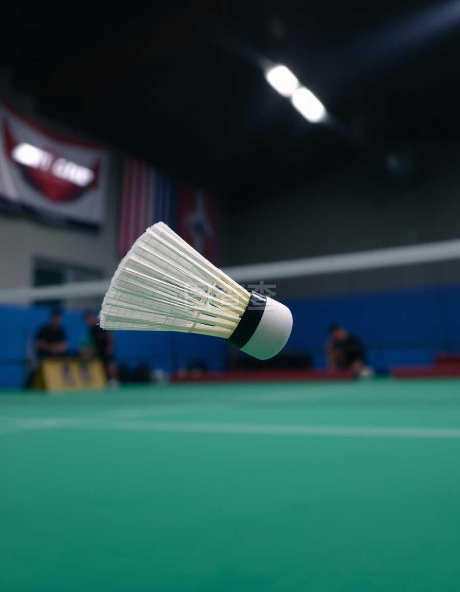 命中率虽波 命中率虽波